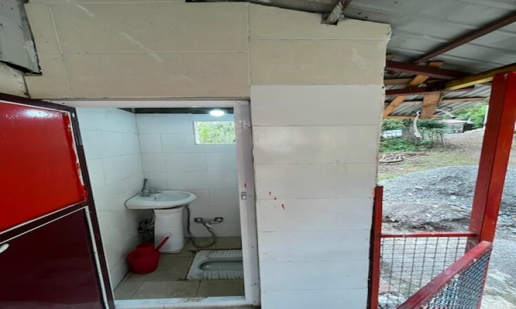 اجاره ویلا نقلی جنگلی