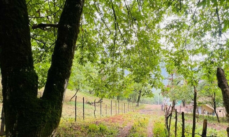 فيلا باراناك طابقين للإيجار