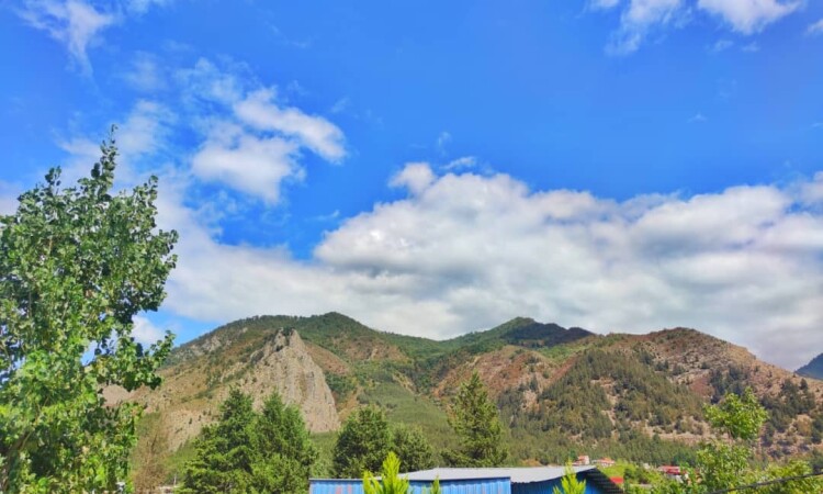 اجاره ویلا تک خواب آرامش سید کلاته