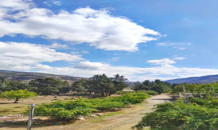 اجاره ویلا تک خواب آرامش سید کلاته