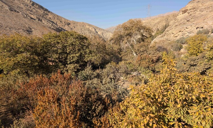 رزرو هتل آپارتمان کندلوس واحد دبل 2