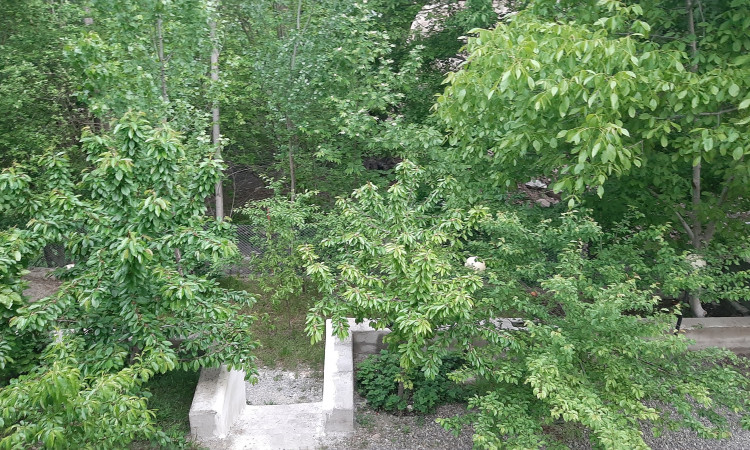 رزرو بوم‌گردی گلوسنگ کلیبر