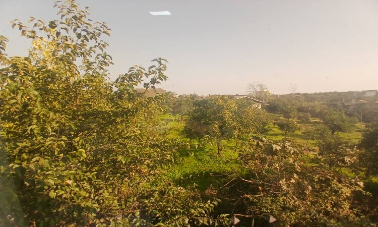 حجز شقة نارنجسيرا الفندقية الوحدة 201