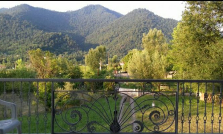 اجاره ویلا4 خوابه چوبی جنگلی طاسکوه