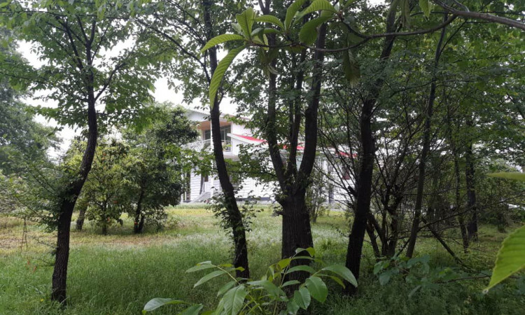 اجاره ویلا4 خوابه چوبی جنگلی طاسکوه