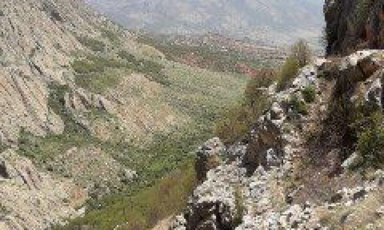  اقامتگاه خنار چشمه