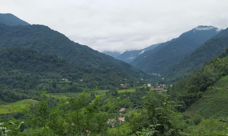 رزرو کلبه جنگلی روستای فوشه