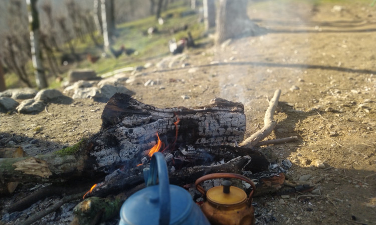 رزرو کلبه جنگلی روستای فوشه