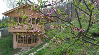 رزرو بوم گردی کلبه چوبی(کلبه بزرگ)