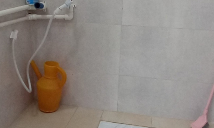 اجاره ویلای جنگلی زیتون