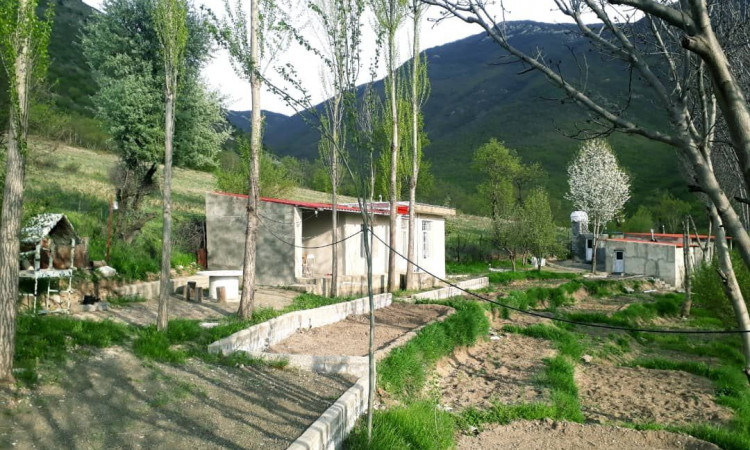رزرو سوئیت جنگلی کلیبر