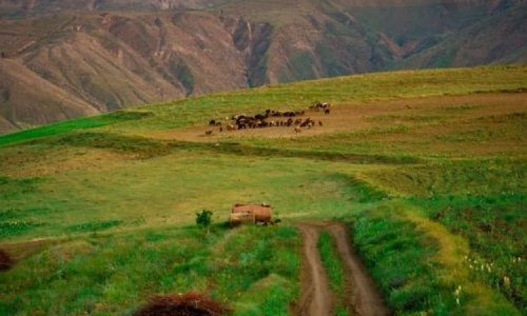 رزرو بوم گردی موغان یوردو (اسکیمویی)