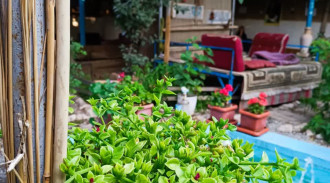 رزرو اقامتگاه بوم گردی هفشجان