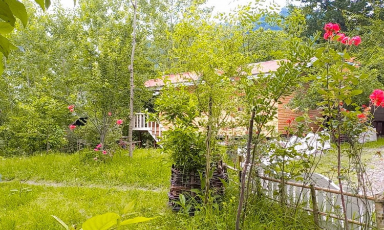 اجاره کلبه تکخوابه جنگلی شیروان 1