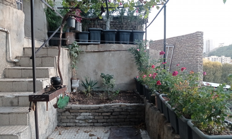 اجاره ویلا کوهستانی یک خوابه درکه