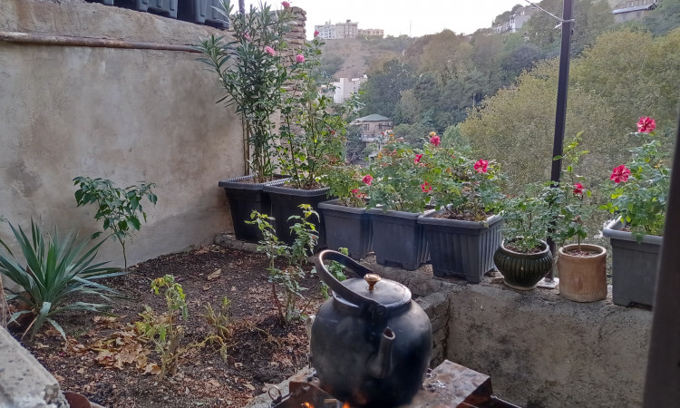 اجاره ویلا کوهستانی یک خوابه درکه