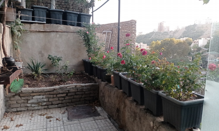 اجاره ویلا کوهستانی یک خوابه درکه