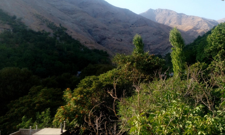 اجاره ویلا کوهستانی یک خوابه درکه