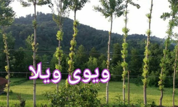 اجاره آپارتمان رو پلت با ویو جنگل ورودخانه وشالیزار