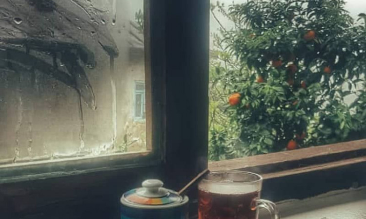 بوم‌گردی گته گلی خانه رامسر