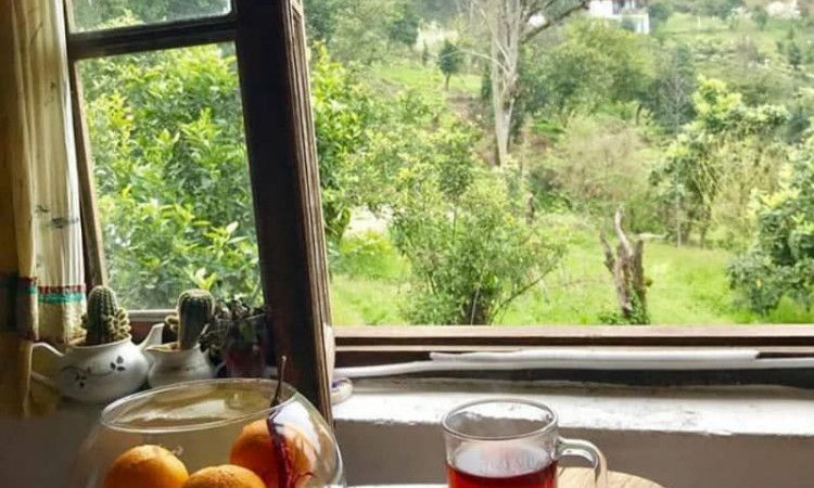 بوم‌گردی گته گلی خانه رامسر