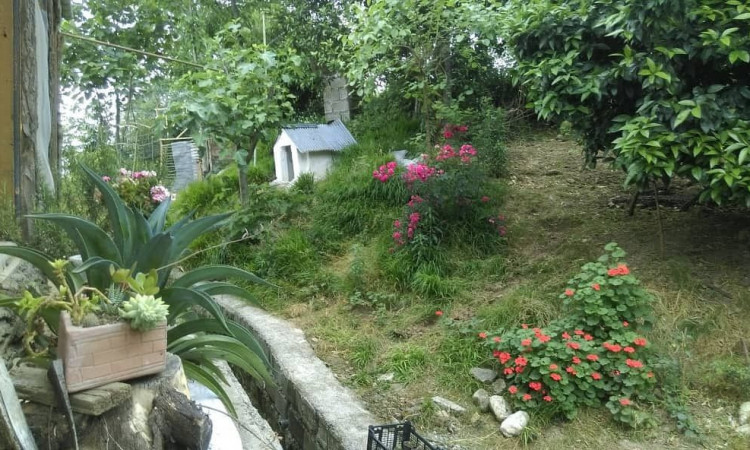 بوم‌گردی گته گلی خانه رامسر