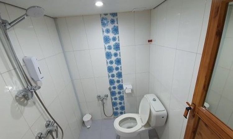 بوم‌گردی سایه چهار تخته زیرزمین