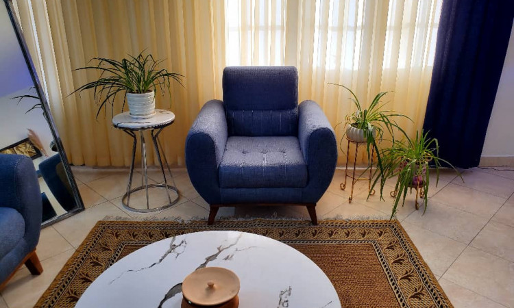 اجاره آپارتمان یک خوابه بهار 1