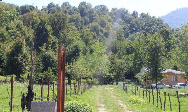 رزرو کلبه جنگلی ترنج