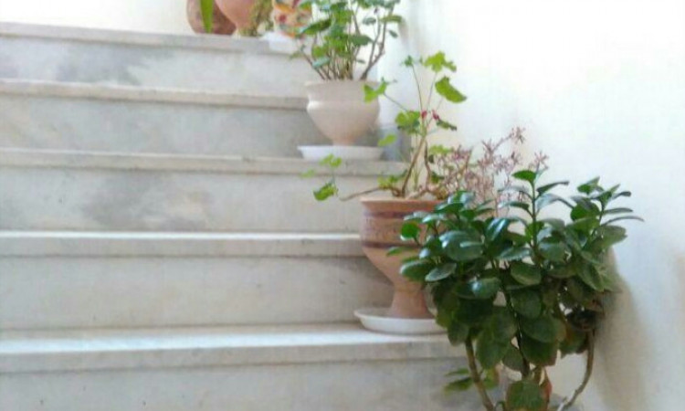 رزرو اپارتمان مبله شیک تک خواب رضوان
