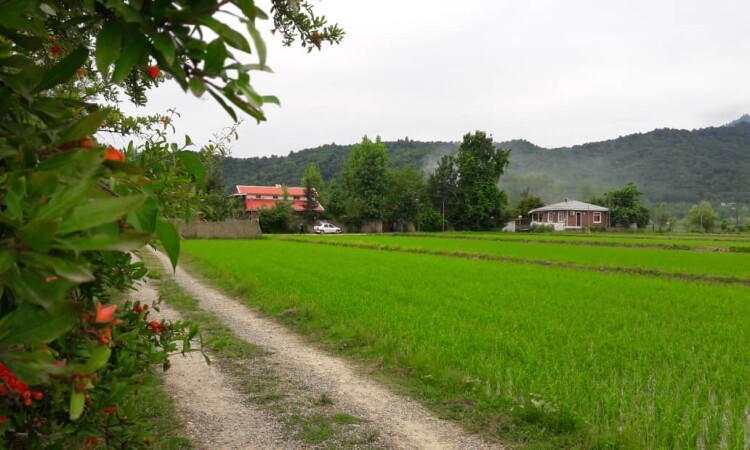 اجاره ویلا استخردار در روستای وشمه سرا