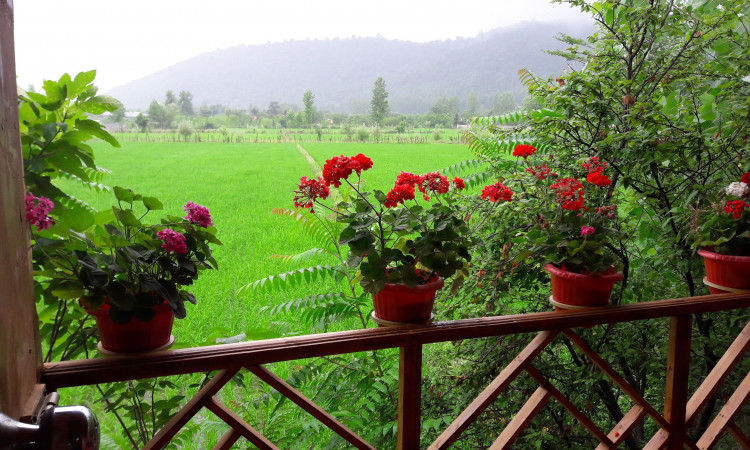 کلبه دوبلکس با جکوزی در روستای وشمه سرا