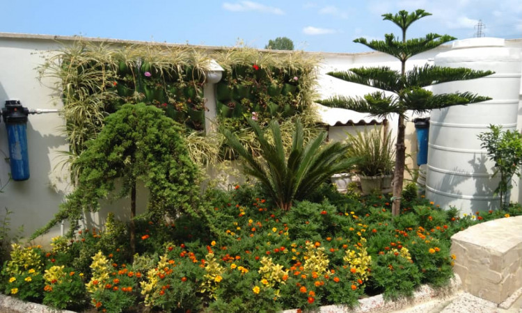 اجاره ویلا با استخرآبگرم و جکوزی در محمودآباد