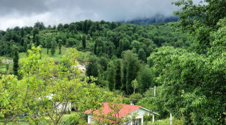 ستاره سیدشت