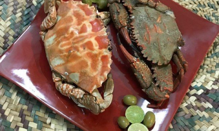 رزرو اقامتگاه بوم گردی لرد سوزا (کارپایی)