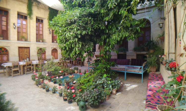 رزرو بوم گردی لوتوس سه تخته 2