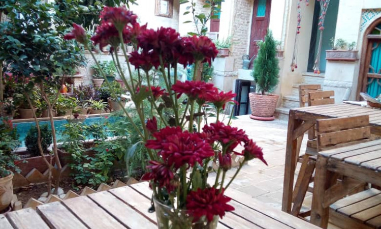 رزرو بوم گردی لوتوس سه تخته 2