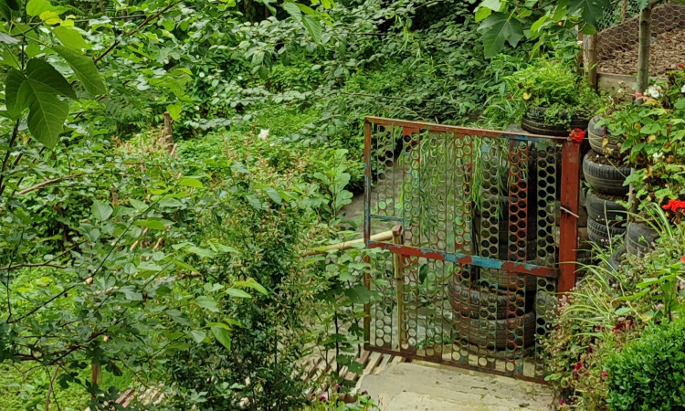 اجاره روزانه ویلا روستایی گیلان ماسال