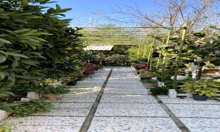 اجاره روزانه ویلا روستایی گیلان ماسال