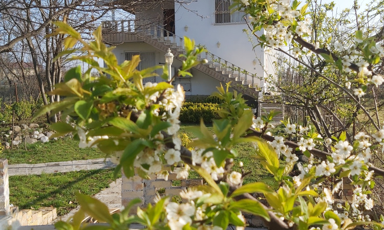 اجاره ویلای اسپیناز دو