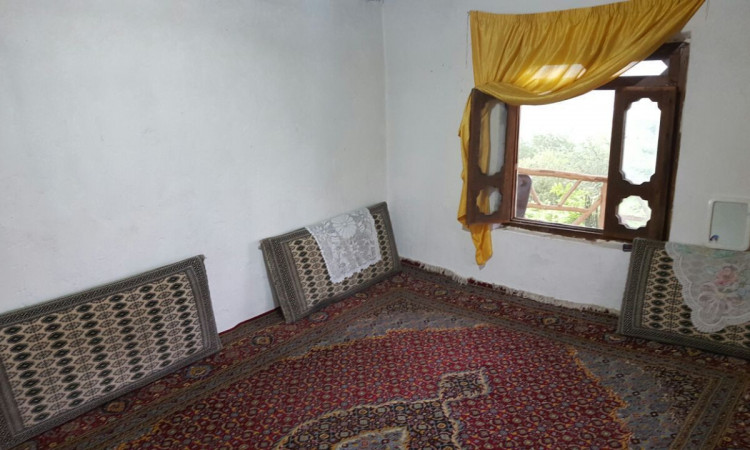 کلبه جنگلی حامد