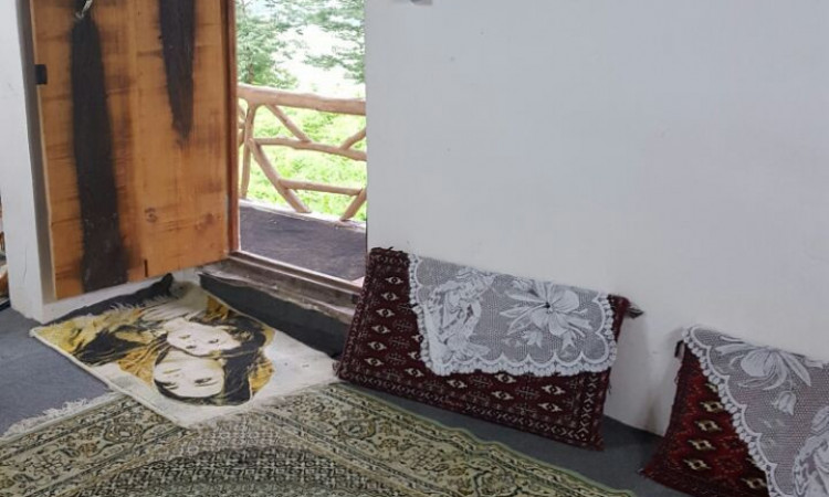 کلبه جنگلی حامد