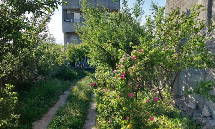 اجاره ویلا دربستی دو طبقه فانوس شب