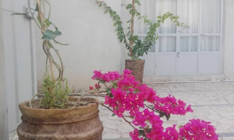 منتجع السياحة البيئية عباد الشمس