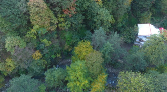 اجاره ویلا جنگلی کنار رودخانه 2خواب طبقه اول