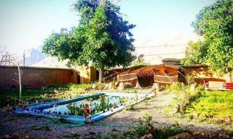 رزرو اقامتگاه بوم‌گردی آژند( اتاق دراک)