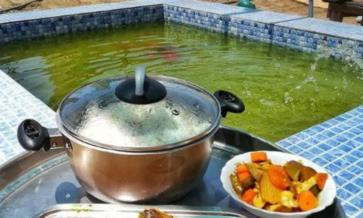 بوم‌گردی پیسو (اتاق پلیسوک)