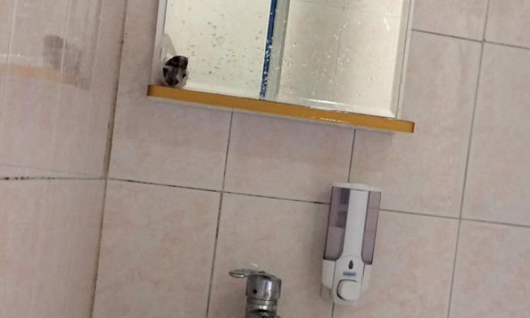 اجاره سوئیت روحی واحد 2