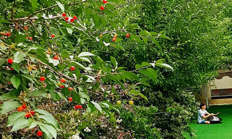 اجاره ویلای دورهمی 1 با استخر آبگرم سرپوشیده کردان