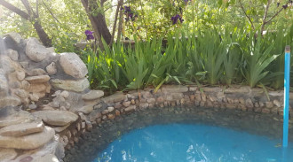 اجاره ویلای چشمه سار آبعلی